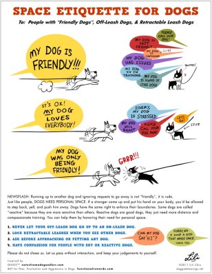 Space Etiquette for Dogs